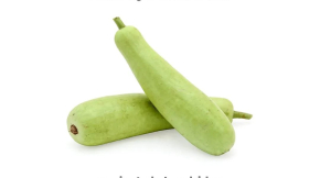SMO 3